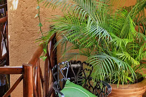Posada Mariposa Boutique Hotel in Playa del Carmen — foto 15