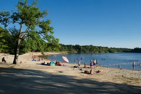 L Etang Des Bois in Vieilles-Maisons-sur-Joudry — foto 5