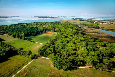 Belvedere Pineta in Belvedere — foto 15