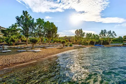 Evia Riviera Resort in Δημοτική Ενότητα Αμαρυνθίων — foto 19