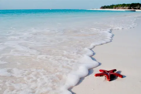 12 daagse safari Noord Tanzania & Zanzibar foto 3