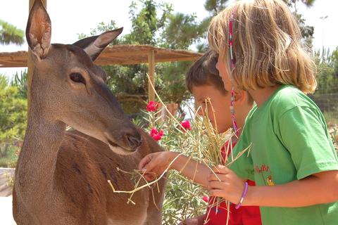Hotel Magic Natura foto 19