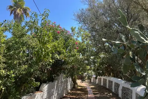 Matchani Gran in Maó — foto 11