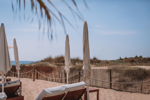 Bless Ibiza The Site (voorheen Hard Rock) foto 26