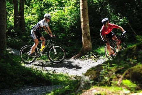 Jagdhof und Alpenfex foto 3