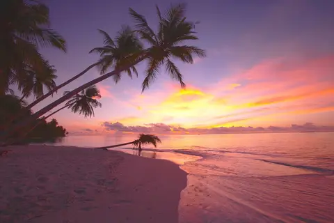 Filitheyo Island Resort in Filitheyo — foto 5