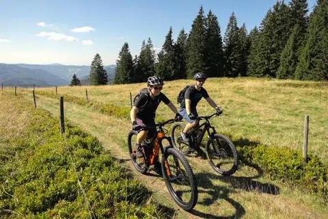 Naturparkhotel Schwarzwaldhaus Bernau foto 21