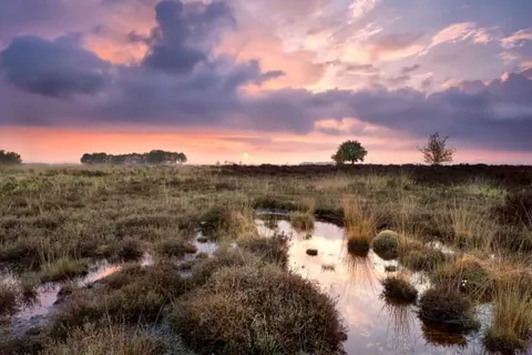 Herberg de Loohoeve foto 22