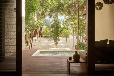 La Zebra in Cancún — foto 11