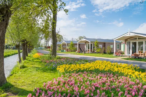 Familie Resort Molenwaard foto 10