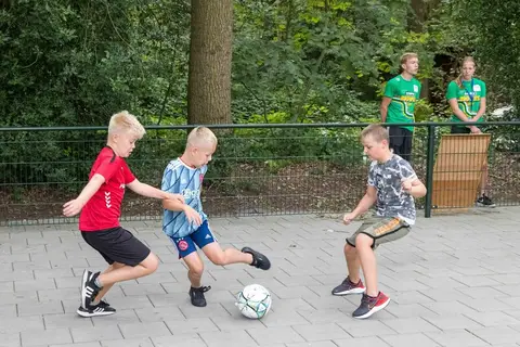 Camping De Bronzen Emmer in Coevorden — foto 3