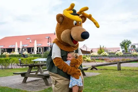 TopParken Résidence Lichtenvoorde foto 29