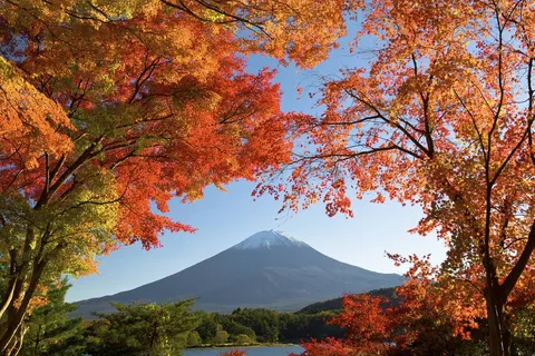 Explore Ancient Japan in Tokyo — foto 4