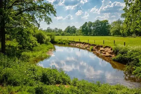 Hofparken De Bergvennen foto 10