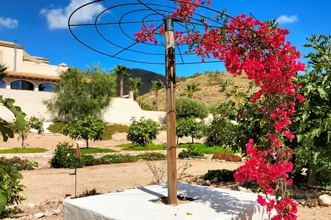 Casa Algezar in el Fondó de les Neus / Hondón de las Nieves — foto 22