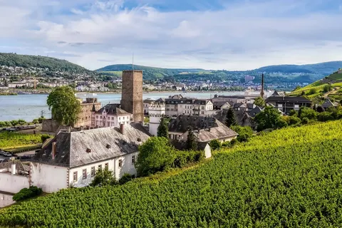 Vierlandencruise naar Basel met mps Rembrandt van Rijn foto 12