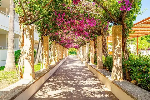 Hotel Rosella by Intelier in Sant Llorenç des Cardassar — foto 10