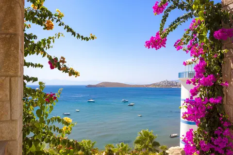 Bingo Bodrum 5* foto 14