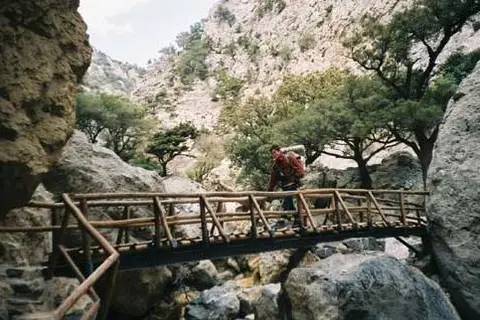 Eleonas in Zaros — foto 18