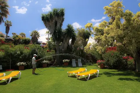 La Palma Jardin in Los Llanos — foto 16
