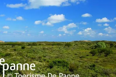 ibis De Panne foto 25