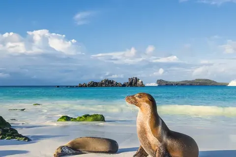 Explore Tropical Yucatán foto 10