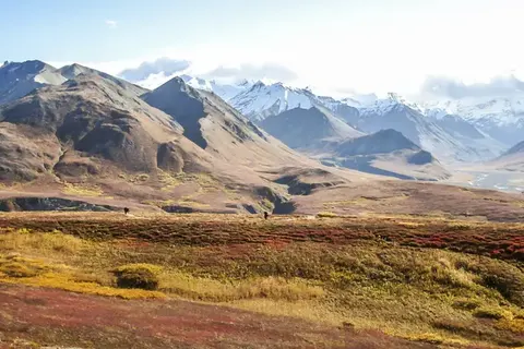 Discover the national parks of Alaska foto 6