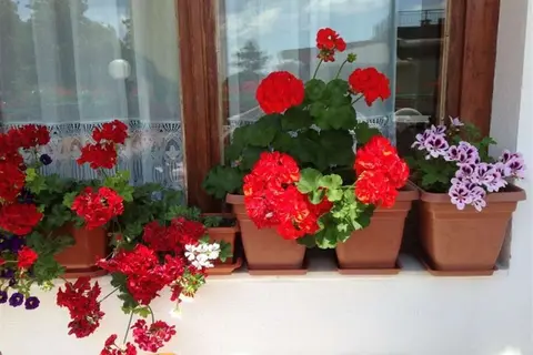 Hotel Zora in Несебър — foto 14