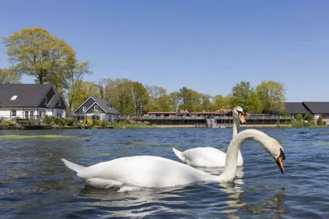 Vakantiepark Limburg foto 20