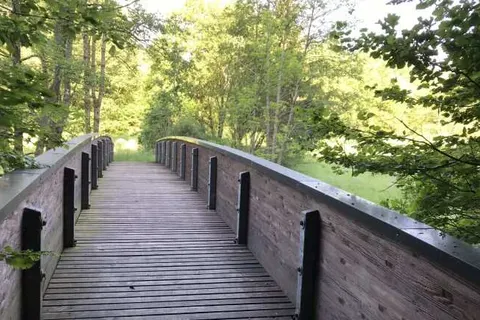 Gasthaus Geimer foto 16