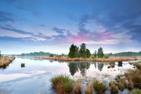 Fietsvakantie door de kop van Drenthe foto 5