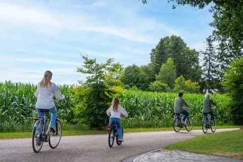 TopParken Resort Bosvallei foto 10