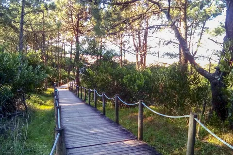 Camping Caminha foto 9