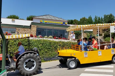 Camping Cala Gogo Internacional foto 31