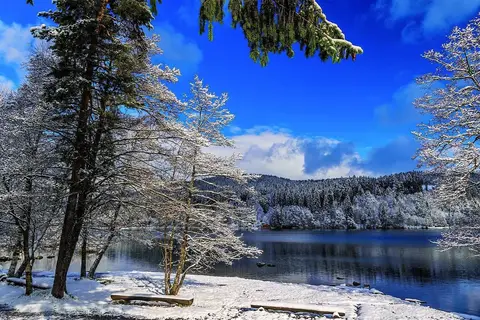 Kerst in het Zwarte Woud, Endingen in Endingen am Kaiserstuhl, foto 3