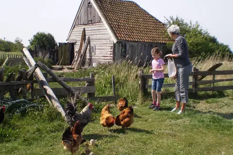 Loodsmansduin in Den Hoorn — foto 18
