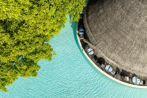 Dusit Thani Maldives in Muddhoo — foto 3