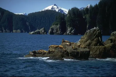 Rocky Mountain Rail Tour and the Inside Passage in Toronto — foto 25