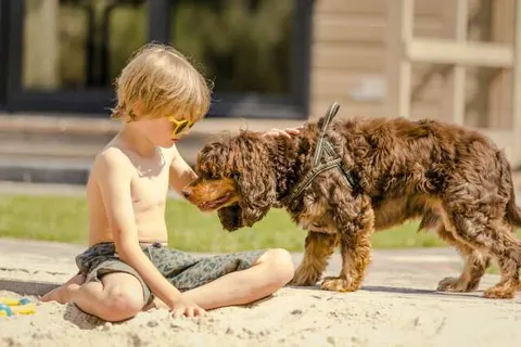 Vakantiepark Mölke foto 20