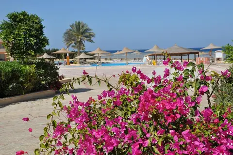 Shoni Bay in مرسى علم — foto 13