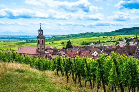 Zwarte Woud en de Elzas, Endingen in Endingen am Kaiserstuhl — foto 13