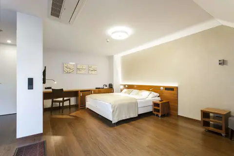 Hotel Carol in Praag — foto 23