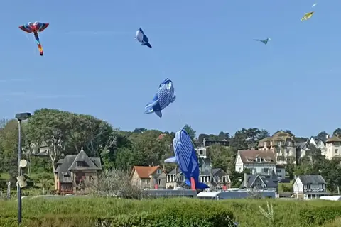 Domaine Saâne Et Mer in Quiberville-sur-Mer