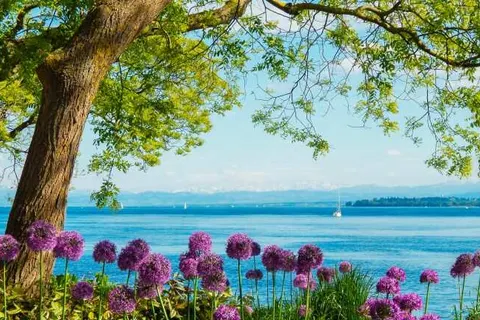 See Hotel Off foto 18