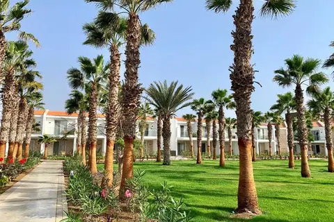Robinson Club Cabo Verde in palmeiras — foto 10