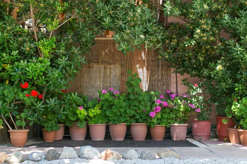 Appartementen Villa Dora foto 8