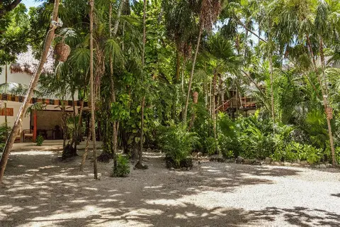 Hotel Dos Ceibas Eco Retreat Tulum in Cancún — foto 29