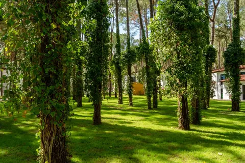 Baia Salima Kemer in Kemer — foto 16