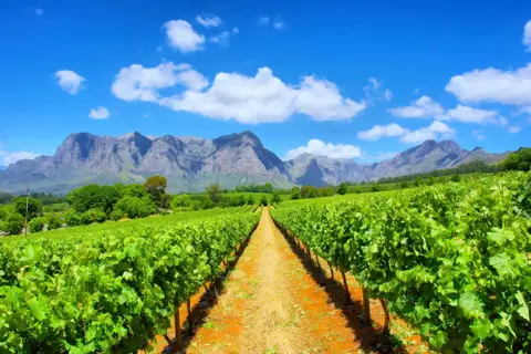 Pragtig Suid-Afrika in Complete rondreis Zuid-Afrika — foto 17