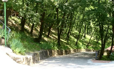 Firenze Certosa Camping foto 23